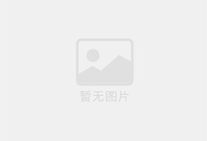 五原个人新能源轿车出售